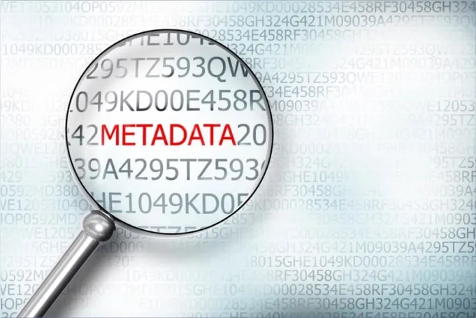  Meta Data Analysis